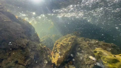 Hypnotic psychedelic underwater shot of a shallow stream in Saaremaa, Video stock 292277953