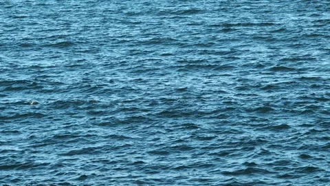 Hypnotic sea surface with gentle undulating patterns, hiding water depths power. Stock Footage 305463015