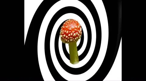 Hypnotic Swirl Video stock 68646662