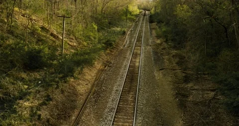 Hypnotic train tracks cut through woodlands on a dreamy afternoon spring day. Vidéo 232966988