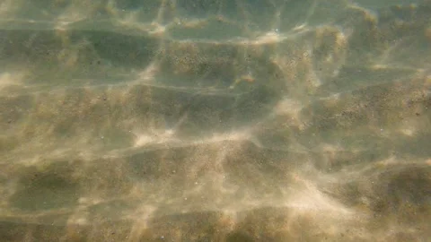 Hypnotic Underwater Light Patterns Dancing on Sand in Clear Blue Water Video stock 330270227