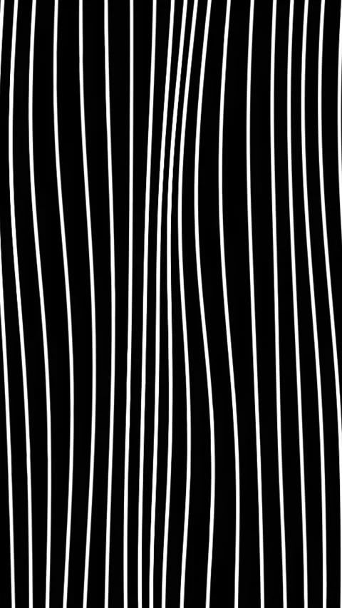 Hypnotic vertical lines move on black background. Motion. White curved threads Stock Footage 278155468