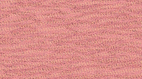 Hypnotic Visual Art Professional Presentation Stock Footage 328675471