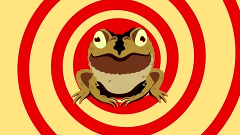 The hypnotist Frog. Only frog. Stock Footage 201530561