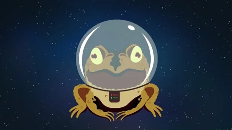 The hypnotist Frog. In space. Video stock 201530449