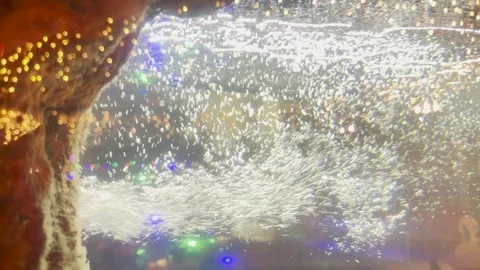 Hypnotizing aquarium view with bubbles, light reflections filling the water Stock Footage 314684645