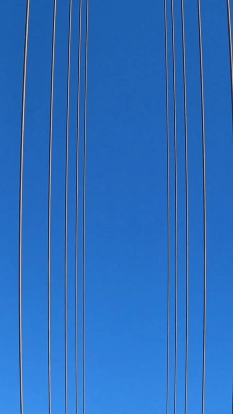 Hypnotizing Blue Background with Moving Abstract Lines Stock Footage 307303435