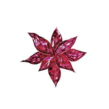 Hypoestes Stock Illustration