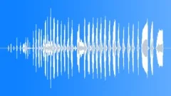 Hysterical LaughSound Effect