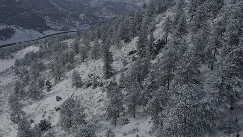 I-70 Corridor with fresh snow (DLog Ungraded) Vídeo Stock 101923125