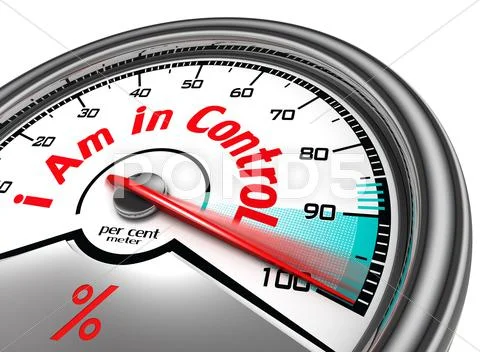 I am in control conceptual meter Stock Illustration