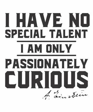 I am curious - einstein Stock Illustration