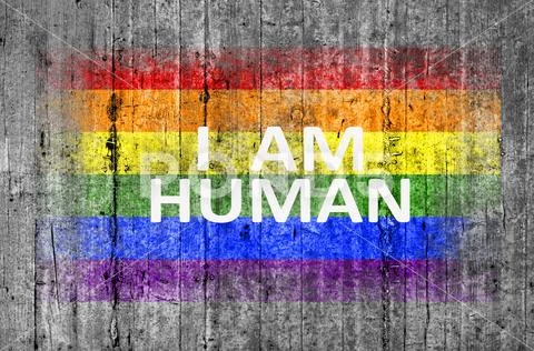 I am HUMAN and LGBT flag painted on background texture gray concrete Stock Photos