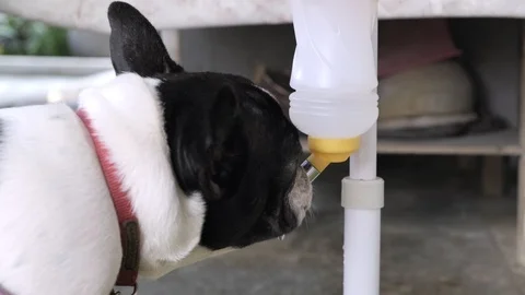 I am so thirsty. Stock Footage 104069503