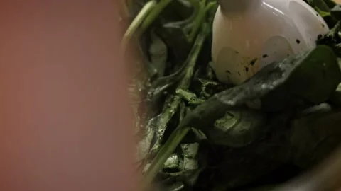 I blend the spinach in a transparent bowl. Tasty Low-Calorie Green Burgers. Food Stock Footage 156720959