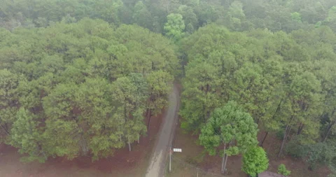 That I could fly from the highest swing I had a dream Stock Footage 279543546