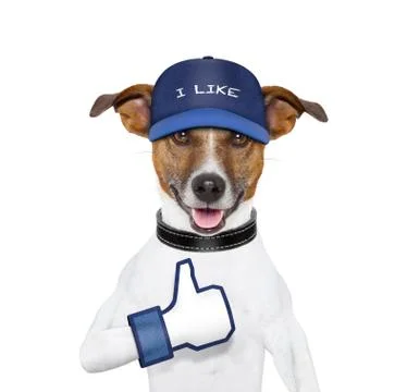 I like dog Illustration