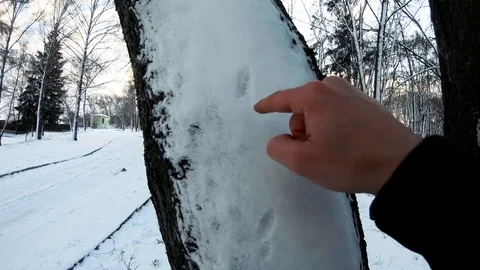 I draw a question mark on a tree. Video stock 126791986