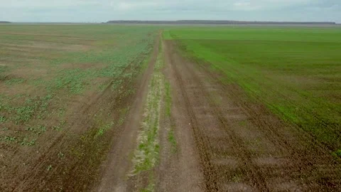 I fly among new fields planted before winter Stock Footage 165491754