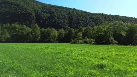 I fly a drone over a green meadow in the Alps Stock Footage 318375254