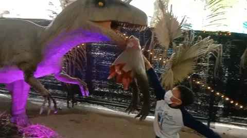 I found a dinosaur Video stock 237037740