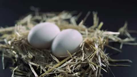 I have my mother in the kitchen... Stock Footage 205571453