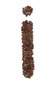 I letter made of cedar  nuts Stock Photos
