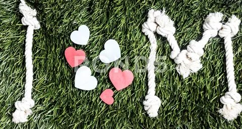 I love M on green grass background. Stock Photos