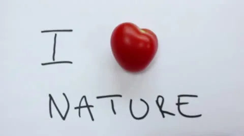 I love nature Stock Footage 11497314