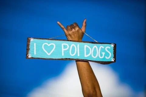 I Love Poi Dogs sign with shaka and blue sky Stock Photos
