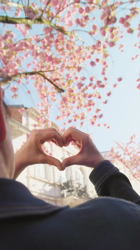 I Love Springtime in the City - Cherry Blossom Vídeos de archivo 267000685