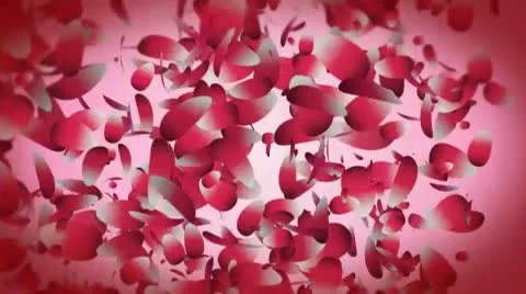 I love You! Stock After Effects