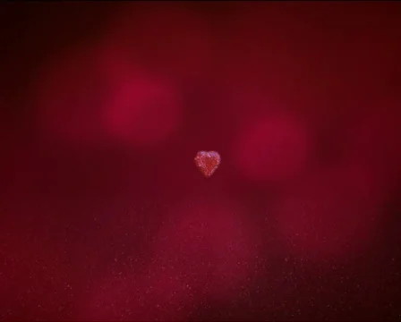 I love you Stock Footage 291828