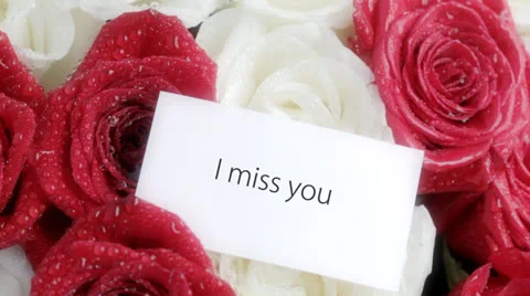 I miss you Stock Footage 24863658