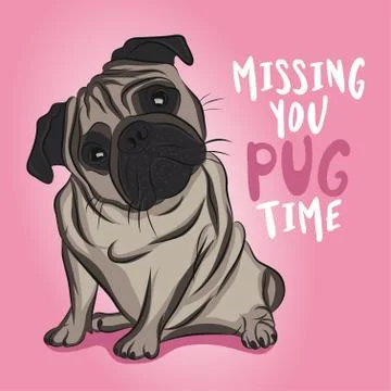 I missing you PUG (big) time - funny vector saying with pug dog character. Stock Illustration