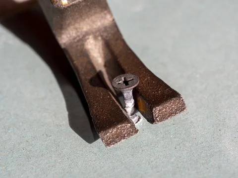 I pull the screw out of the drywall with the back of the hammer. Close-up, se Stock Photos