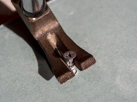 I pull the screw out of the drywall with the back of the hammer. Close-up, se Foto stock