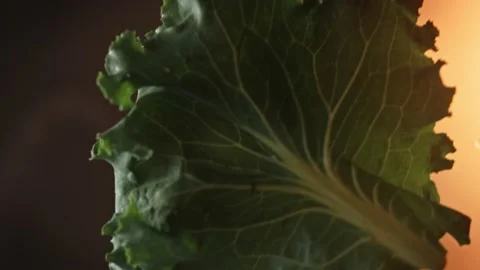 I put the salad on the burger. Bottom filming through the glass.Taste Classic Vidéo 159626692