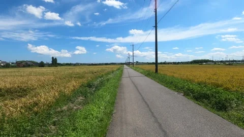 I stroll in the farm road Stock Footage 316719458