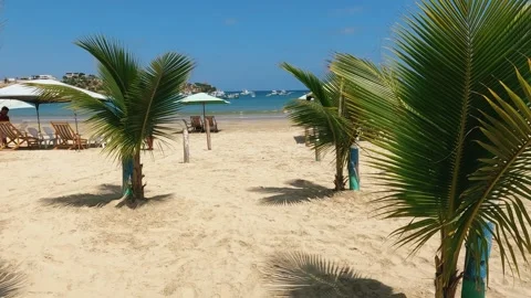 I walk along the beach Stock Footage 280083565