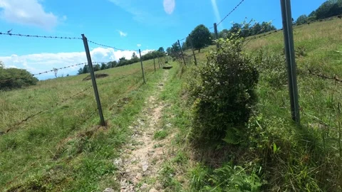 I walk the grassy plain Stock Footage 315567629