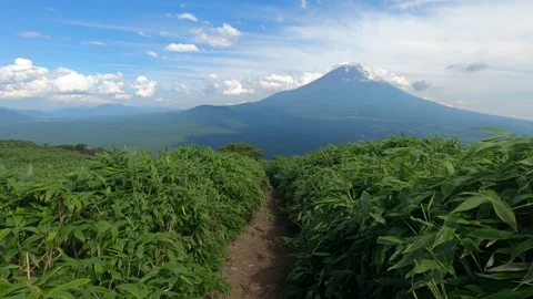 I walk the mountain path Stock Footage 315588318