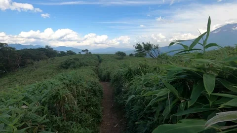 I walk the mountain path Stock Footage 315591138