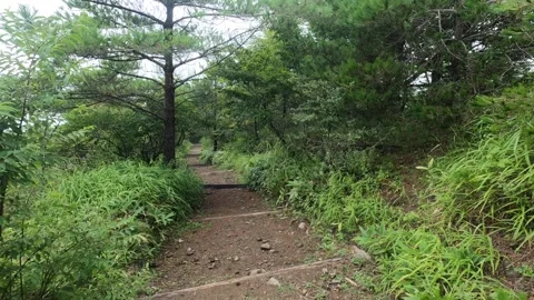 I walk the mountain path Stock Footage 315605374