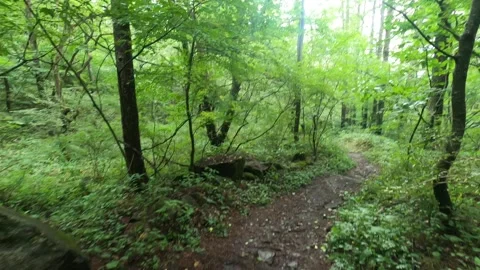 I walk the mountain path Stock Footage 315605376