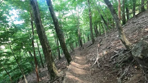 I walk the mountain trail Stock Footage 315763014