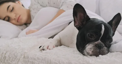 I will sleep too. Stock Footage 120380466