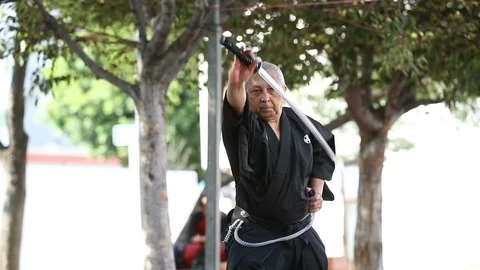 Iado Kata Demonstration 5 Stock Footage 93611517