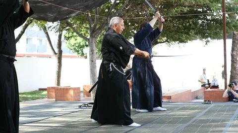 Iado Standing Kata Demonstration Video stock 93614985