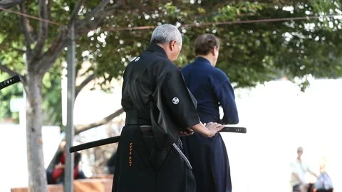 Iado Turning Kata Demonstration Stock-Footage 93613823